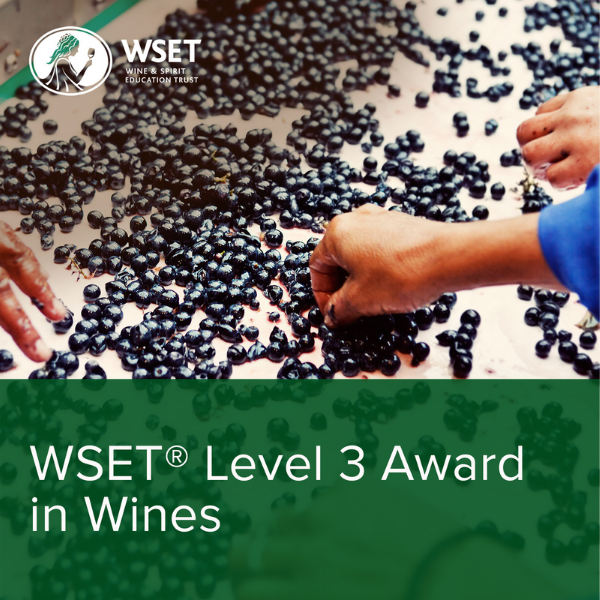 WSET Wines Level 3 Firenze