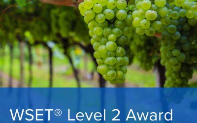 CORSO WSET LEVEL 2 – Gennaio 2024 – Firenze