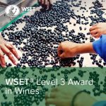 CORSI WSET LEVEL 3 – Marzo 2025 – Firenze