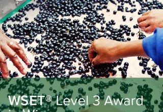 CORSI WSET LEVEL 3 – Ottobre 2023 – Firenze