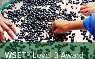 CORSI WSET LEVEL 3 – Marzo 2025 – Firenze