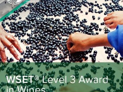 CORSI WSET LEVEL 3 – Febbraio 2024 – Firenze