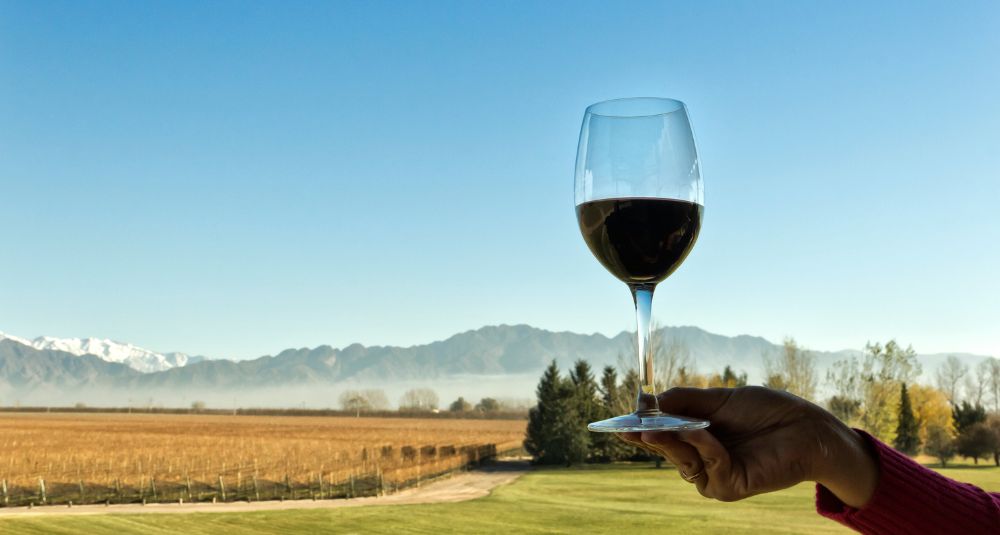 La sostenibilità nel mondo del vino