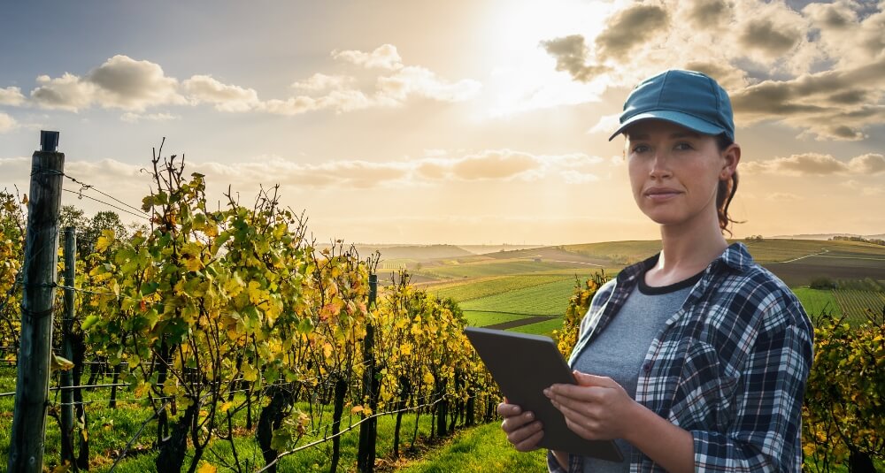 Programmazione e controllo di gestione aziende vitivinicole