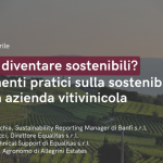 PERCHE’ DIVENTARE SOSTENIBILI? FONDAMENTI PRATICI SULLA SOSTENIBILITÁ PER UNA AZIENDA VITIVINICOLA