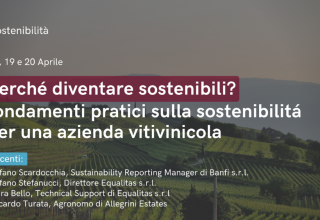PERCHE’ DIVENTARE SOSTENIBILI? FONDAMENTI PRATICI SULLA SOSTENIBILITÁ PER UNA AZIENDA VITIVINICOLA