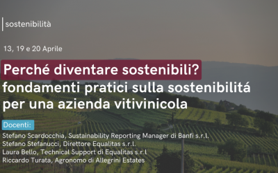 PERCHE’ DIVENTARE SOSTENIBILI? FONDAMENTI PRATICI SULLA SOSTENIBILITÁ PER UNA AZIENDA VITIVINICOLA
